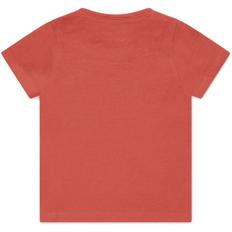 Dirkje boys t-shirt