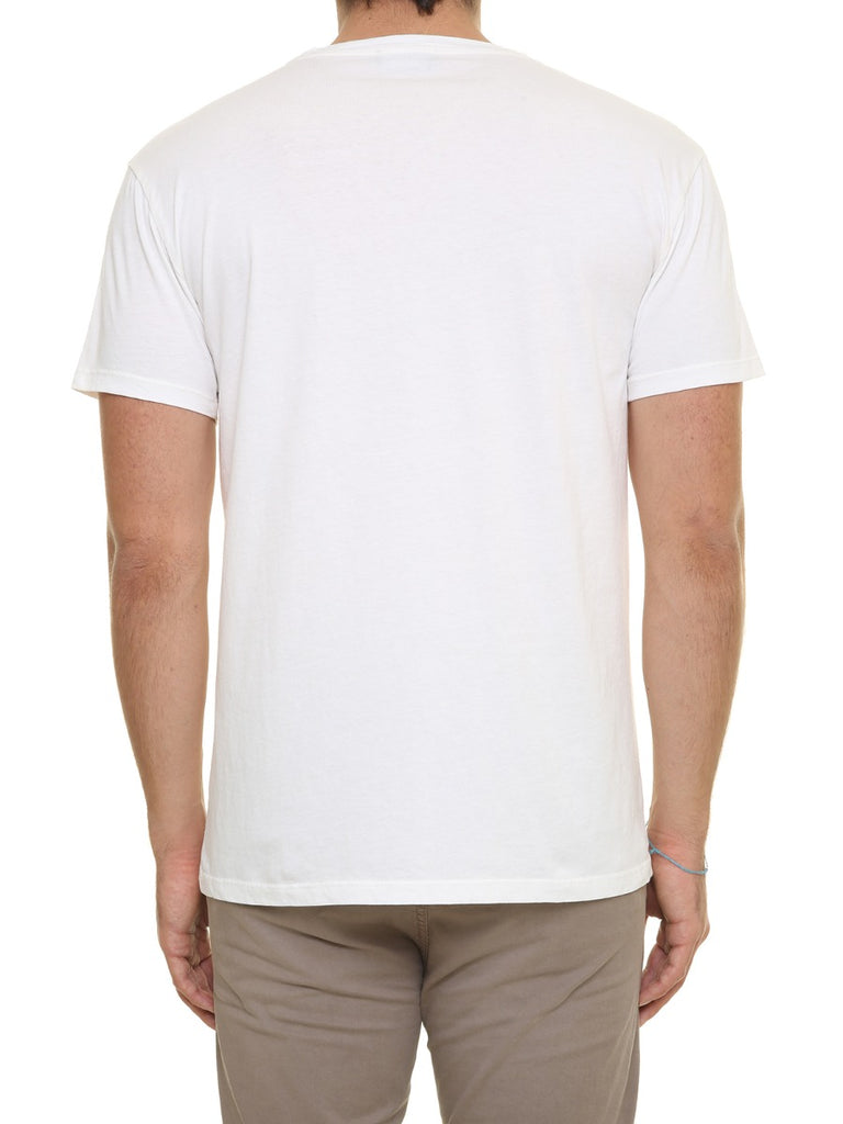 Berna T-Shirt Stampa Cane